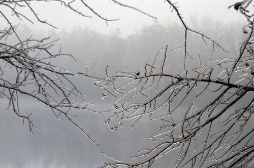 DSC_3666